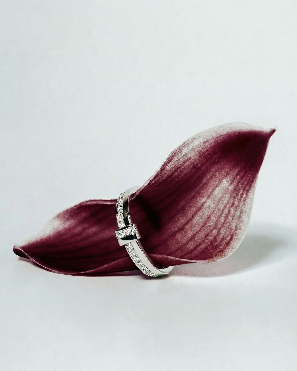 Anillo Âme Plata